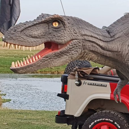 We need more teeth.
