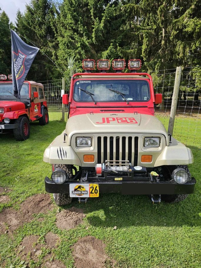 Jeep 26 sunbathing